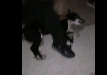 Παραίτηση ζητά η αντιπολίτευση του Δήμου μετά το τραγικό συμβάν στον παραλιακό δρόμο